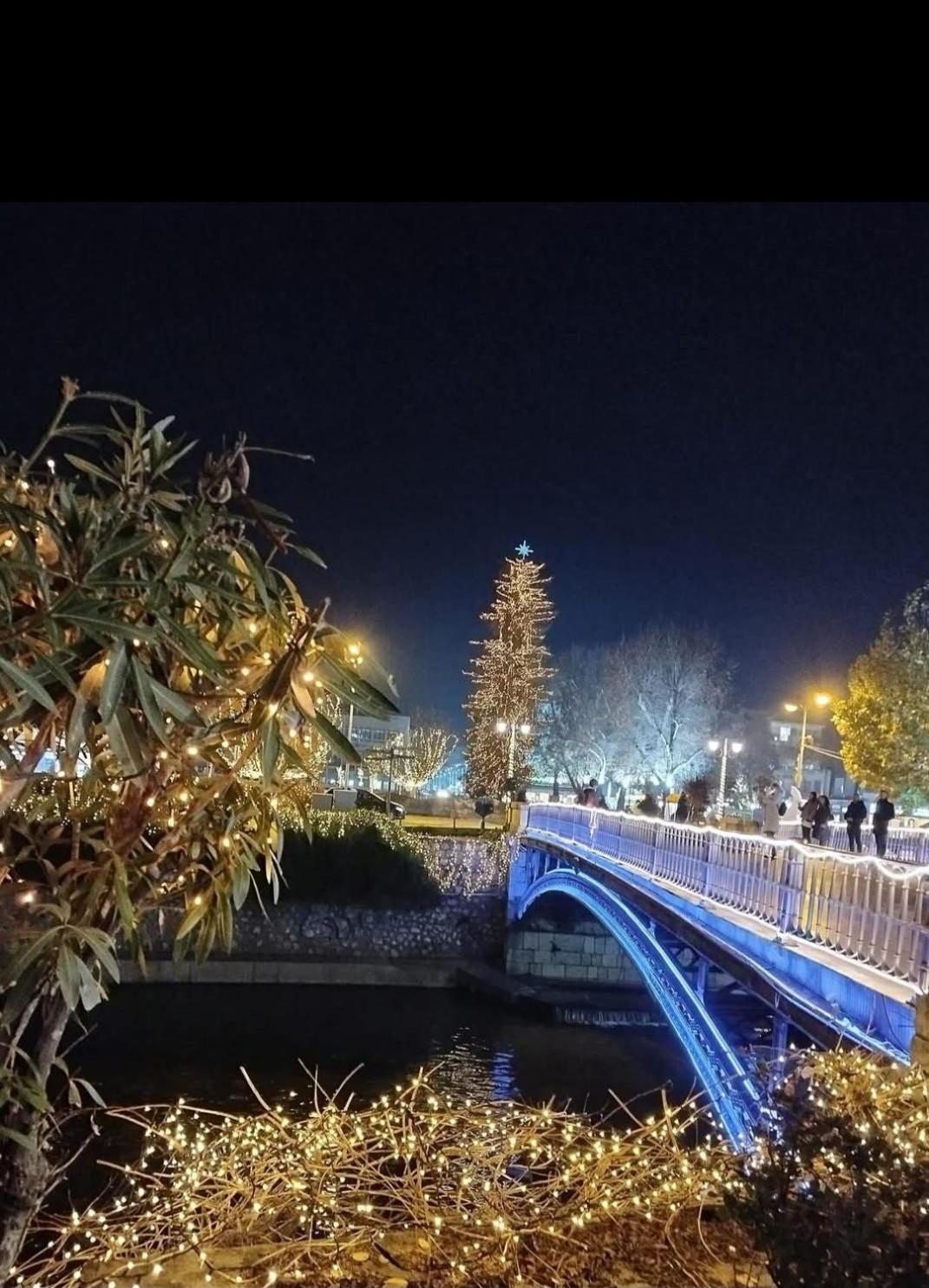 Elegante Apartamento Centrale Trikala  Bagian luar foto